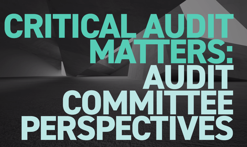 TheCAQ.org | Critical Audit Matters: Audit Committee Perspectives